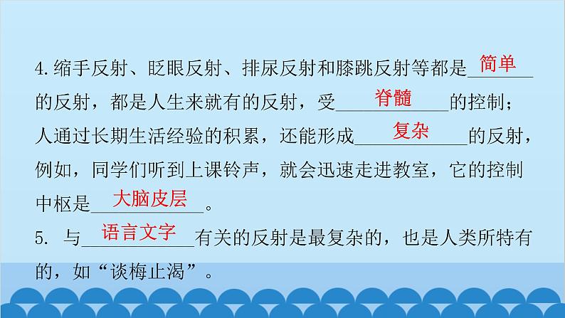 人教版生物七年级下册 第六章 第三节 神经调节的基本方式-（课件）第6页