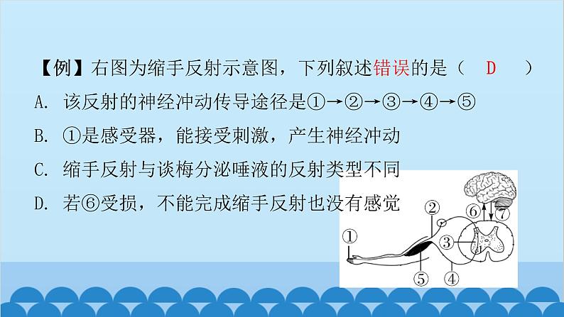 人教版生物七年级下册 第六章 第三节 神经调节的基本方式-（课件）第8页