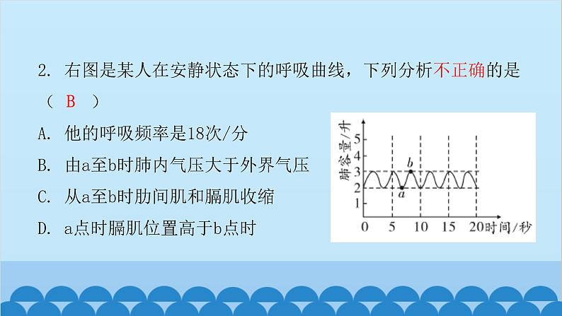 人教版生物七年级下册 第三章 第二节 发生在肺内的气体交换（课件）03