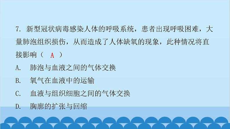 人教版生物七年级下册 第三章 第二节 发生在肺内的气体交换（课件）08