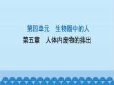 人教版生物七年级下册 第五章 人体内废物的排出-（课件）