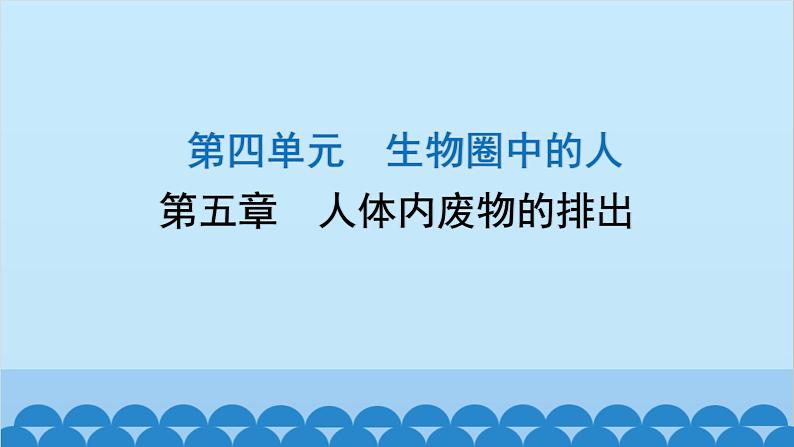 人教版生物七年级下册 第五章 人体内废物的排出-（课件）第1页