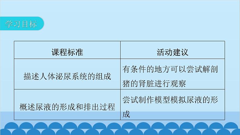 人教版生物七年级下册 第五章 人体内废物的排出-（课件）第3页