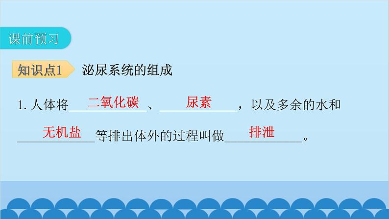 人教版生物七年级下册 第五章 人体内废物的排出-（课件）第4页