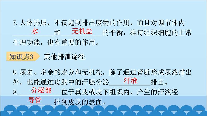 人教版生物七年级下册 第五章 人体内废物的排出-（课件）第8页