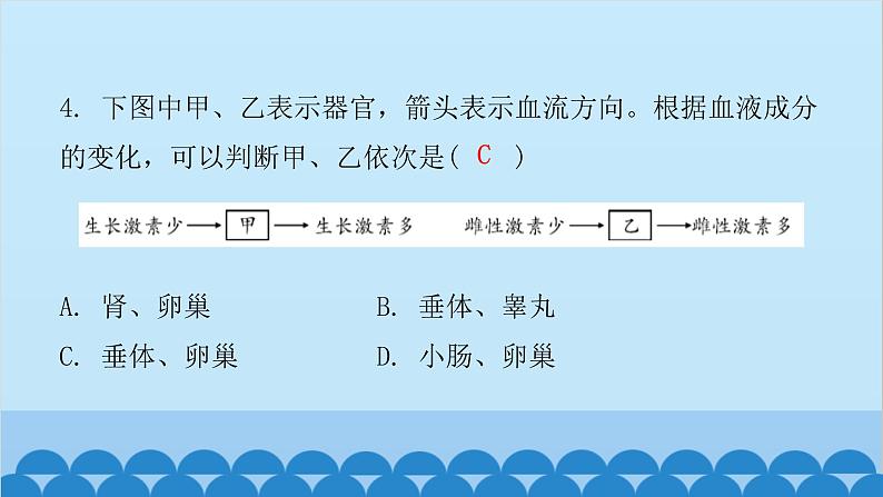 人教版生物七年级下册 第六章 第四节 激素调节（课件）第4页