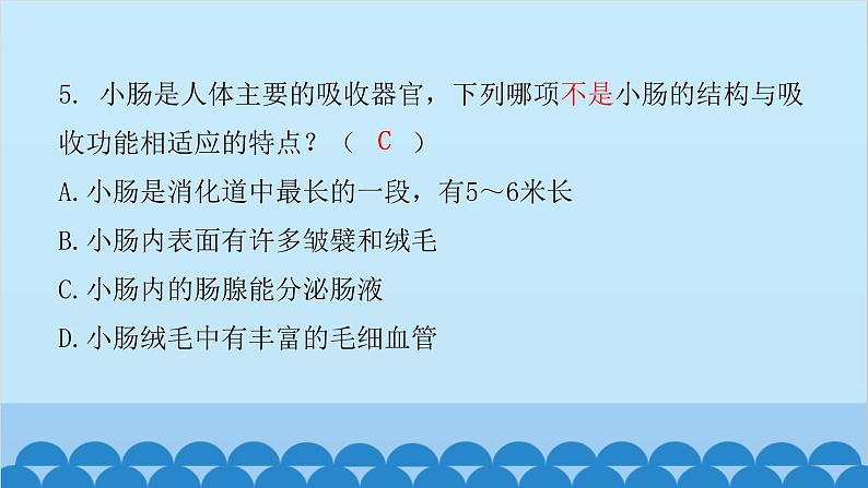 人教版生物七年级下册 第二章 第二节 消化和吸收（课件）06