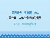人教版生物七年级下册 第六章 第二节 神经系统的组成-（课件）
