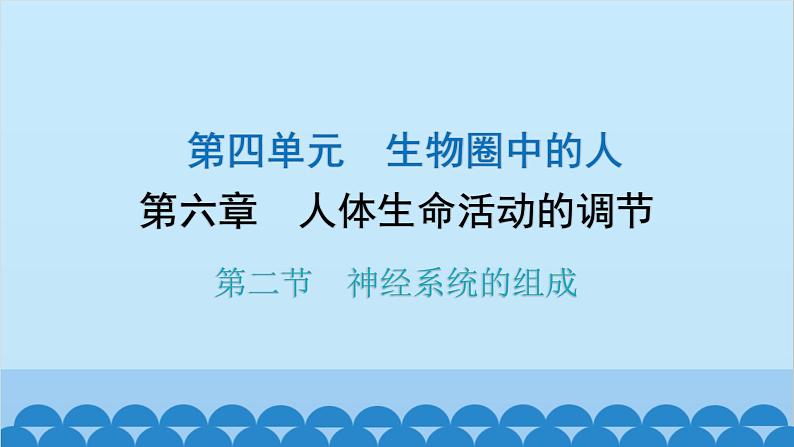 人教版生物七年级下册 第六章 第二节 神经系统的组成-（课件）01