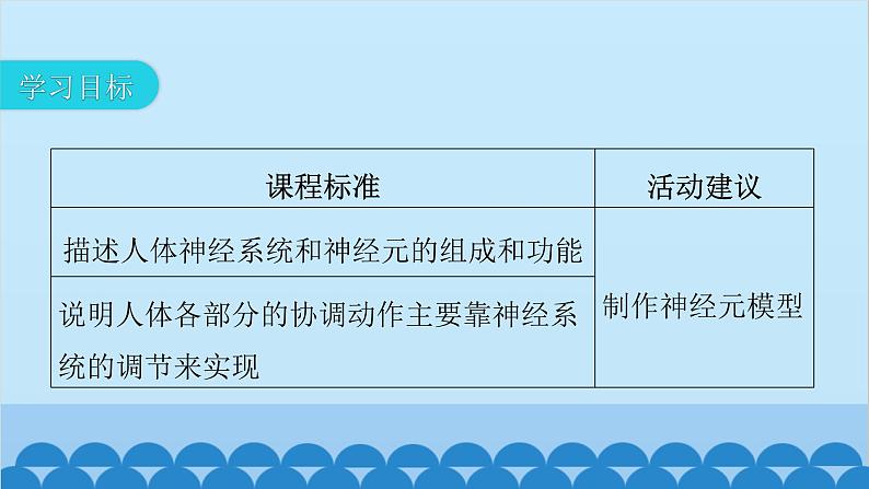 人教版生物七年级下册 第六章 第二节 神经系统的组成-（课件）03