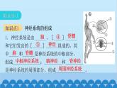 人教版生物七年级下册 第六章 第二节 神经系统的组成-（课件）