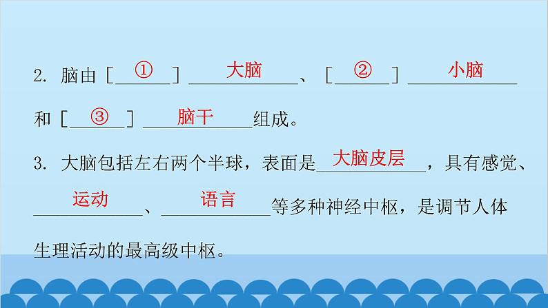 人教版生物七年级下册 第六章 第二节 神经系统的组成-（课件）05