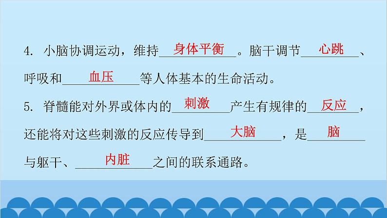 人教版生物七年级下册 第六章 第二节 神经系统的组成-（课件）06