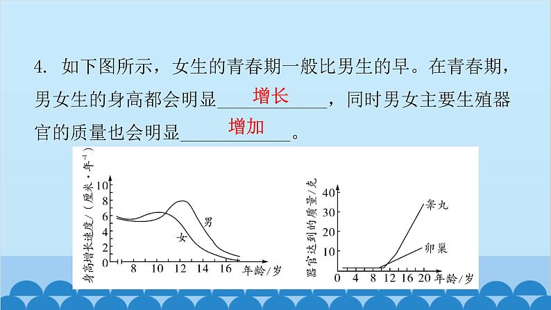 人教版生物七年级下册 第一章 第三节 青春期-（课件）06