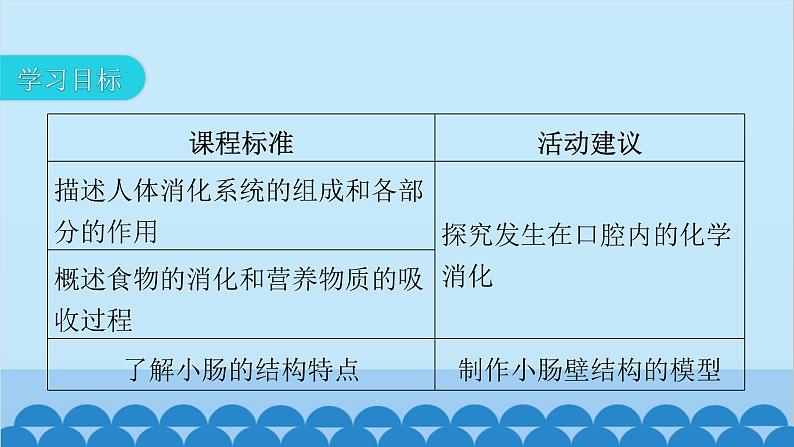 人教版生物七年级下册 第二章 第二节 消化和吸收-（课件）03