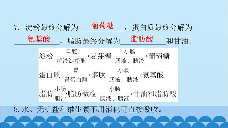 人教版生物七年级下册 第二章 第二节 消化和吸收-（课件）07