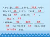 人教版生物七年级下册 第五章 人体内废物的排出(知识手册)（课件）