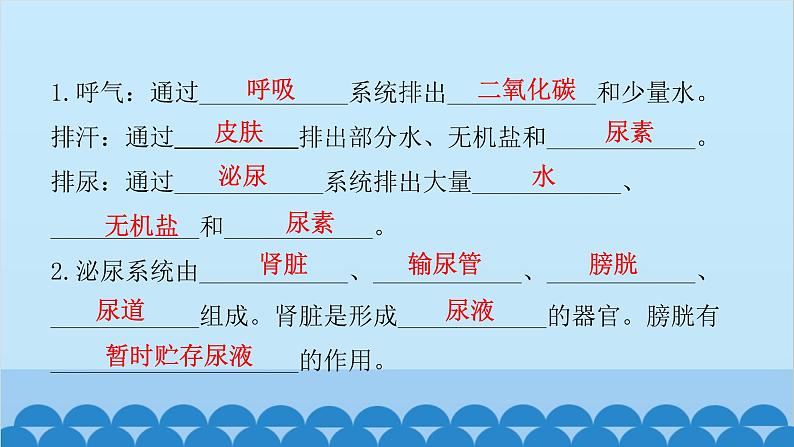 人教版生物七年级下册 第五章 人体内废物的排出(知识手册)（课件）第2页