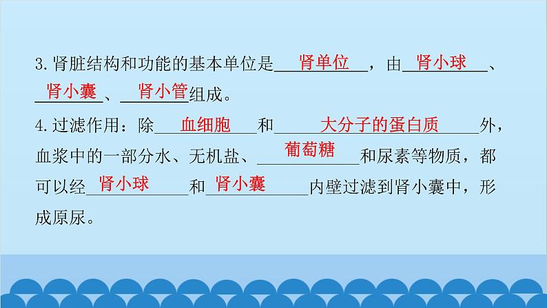 人教版生物七年级下册 第五章 人体内废物的排出(知识手册)（课件）第3页