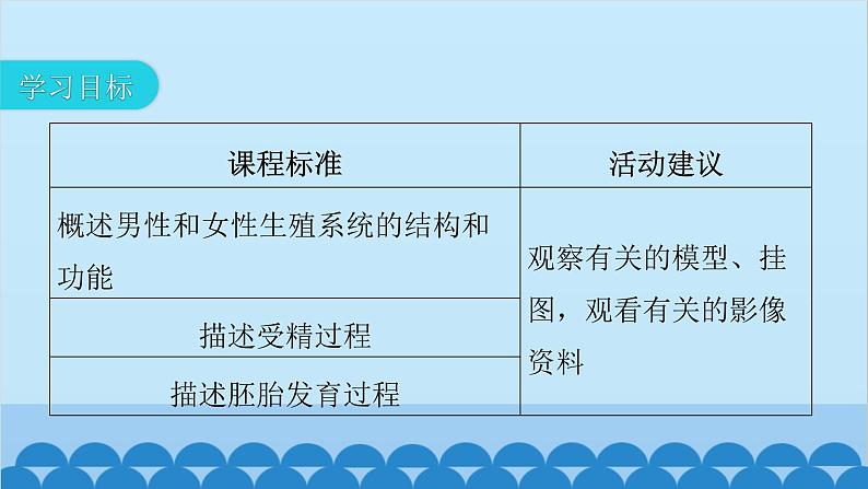 人教版生物七年级下册 第一章 第二节 人的生殖-（课件）03