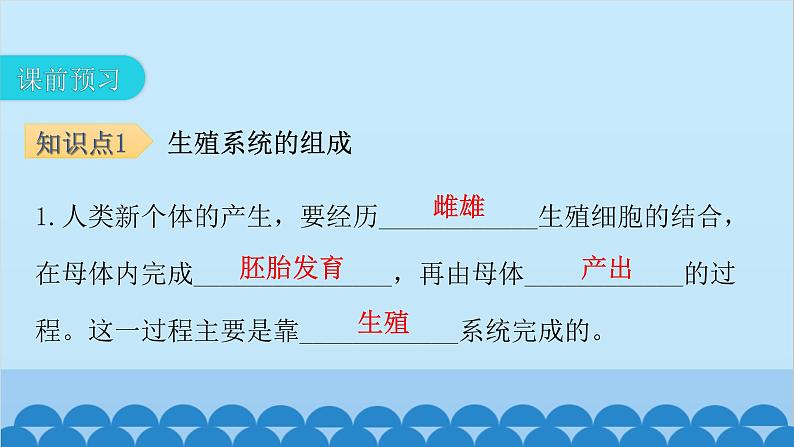 人教版生物七年级下册 第一章 第二节 人的生殖-（课件）04