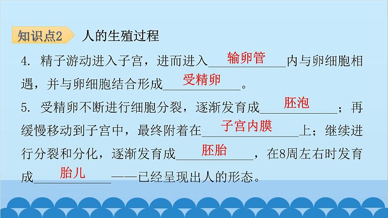 人教版生物七年级下册 第一章 第二节 人的生殖-（课件）07