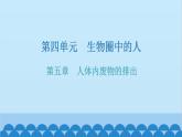 人教版生物七年级下册 第五章 人体内废物的排出（课件）