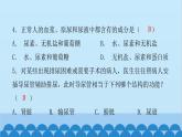 人教版生物七年级下册 第五章 人体内废物的排出（课件）