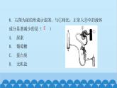 人教版生物七年级下册 第五章 人体内废物的排出（课件）