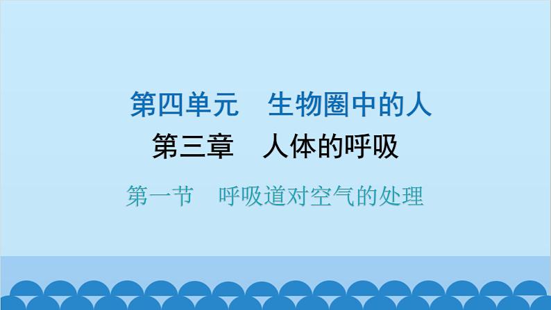 人教版生物七年级下册 第三章 第一节 呼吸道对空气的处理-（课件）第1页