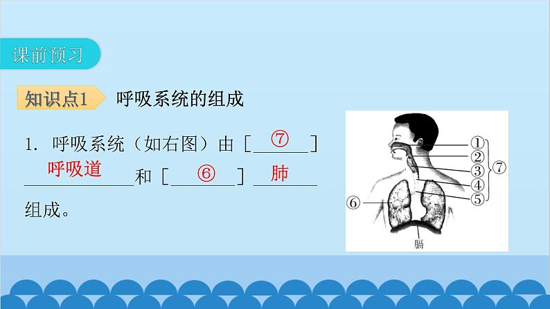 人教版生物七年级下册 第三章 第一节 呼吸道对空气的处理-（课件）第4页