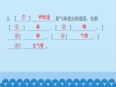 人教版生物七年级下册 第三章 第一节 呼吸道对空气的处理-（课件）