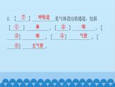 人教版生物七年级下册 第三章 第一节 呼吸道对空气的处理-（课件）