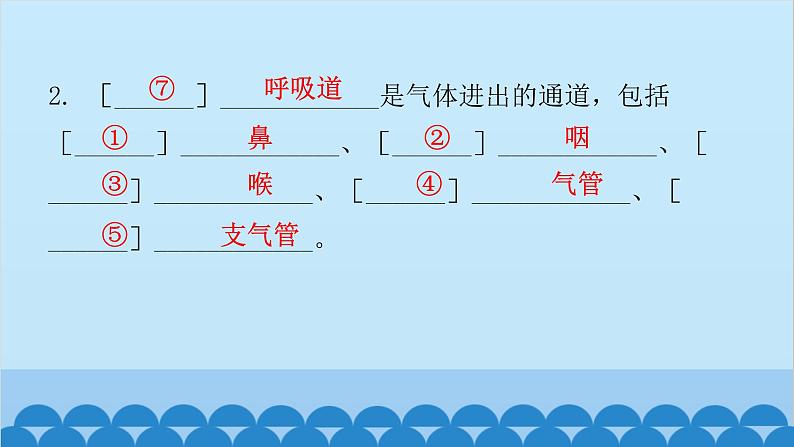 人教版生物七年级下册 第三章 第一节 呼吸道对空气的处理-（课件）第5页