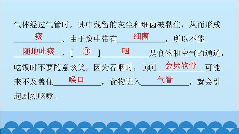 人教版生物七年级下册 第三章 第一节 呼吸道对空气的处理-（课件）第7页