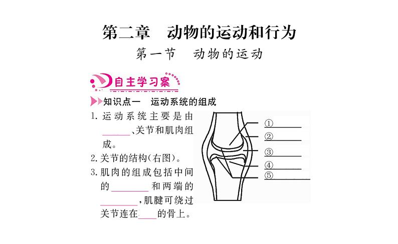 第五单元第二、三章复习课件PPT第2页