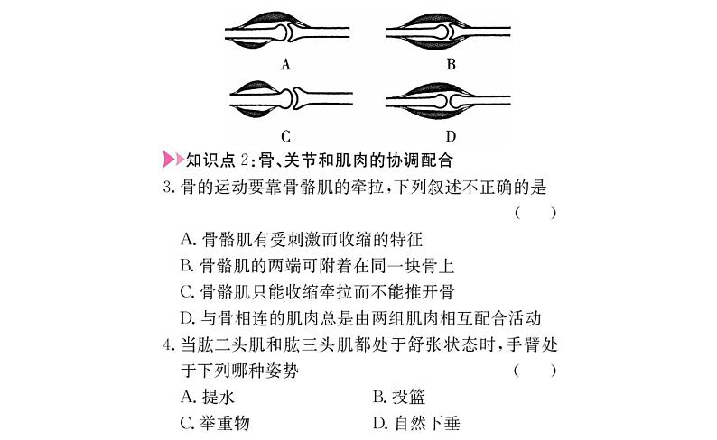 第五单元第二、三章复习课件PPT第7页