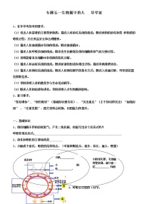 生物中考复习：专题五--生物圈中的人导学案和答案