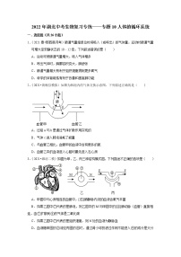 2022年湖北省中考生物复习专练——专题10人体的循环系统解析版