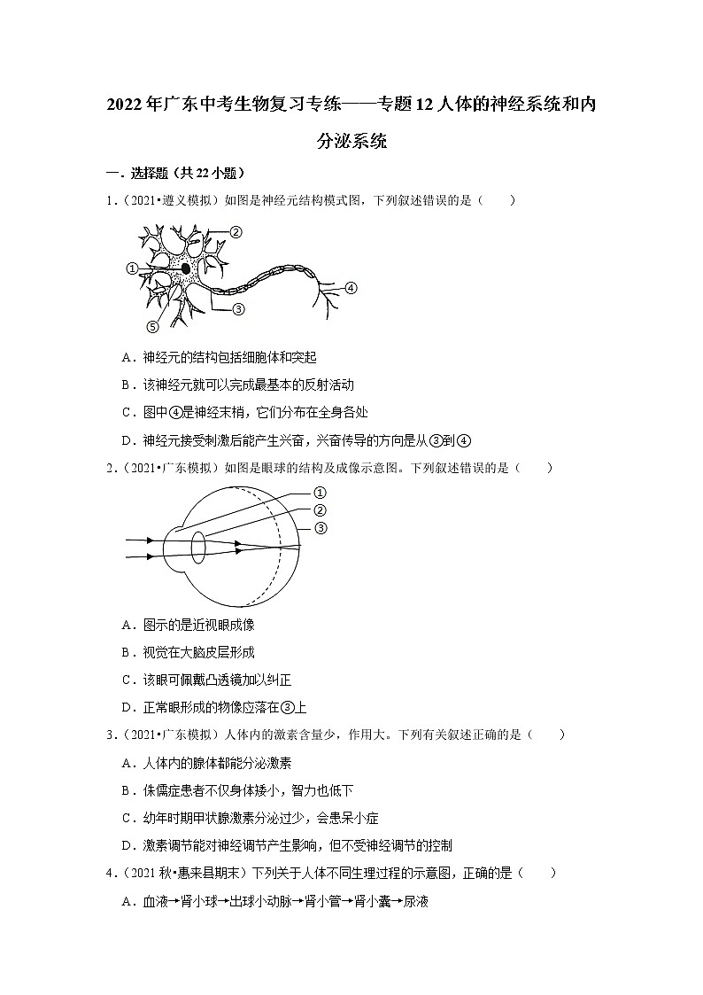 2022年广东省中考生物复习专练——专题12人体的神经系统和内分泌系统+解析版第1页