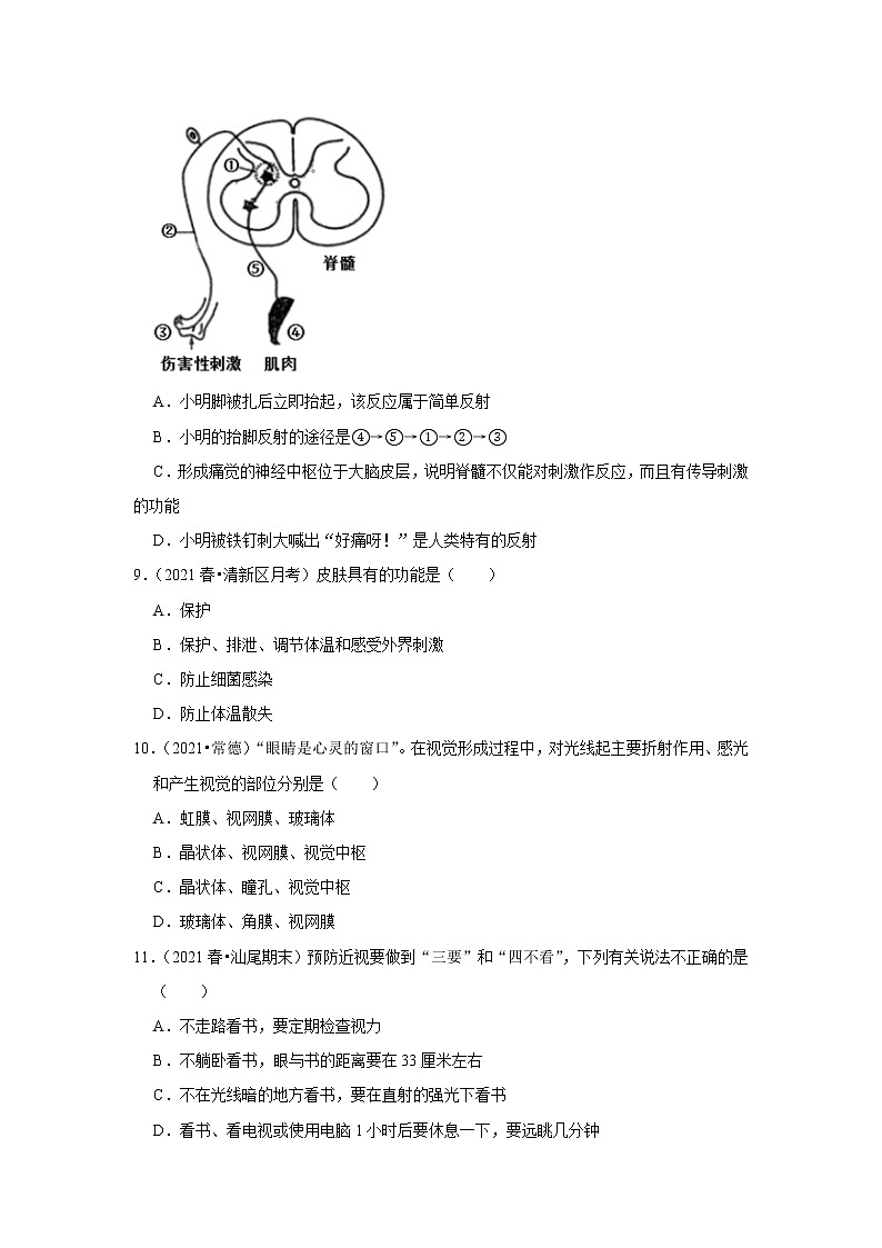 2022年广东省中考生物复习专练——专题12人体的神经系统和内分泌系统+解析版第3页