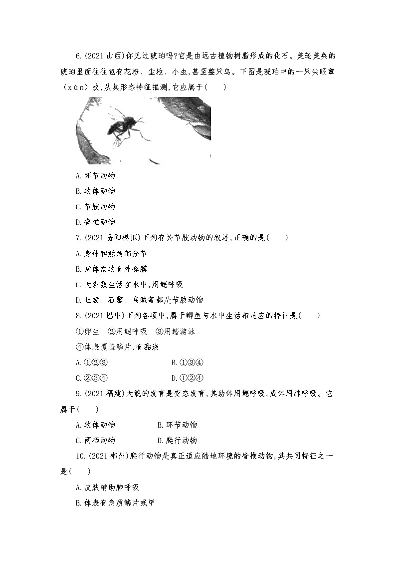 广东省梅州市大埔县青溪镇实验学校2022年中考生物第五单元生物圈中的其他生物第一章动物的主要类群复习试卷（2022.4）02