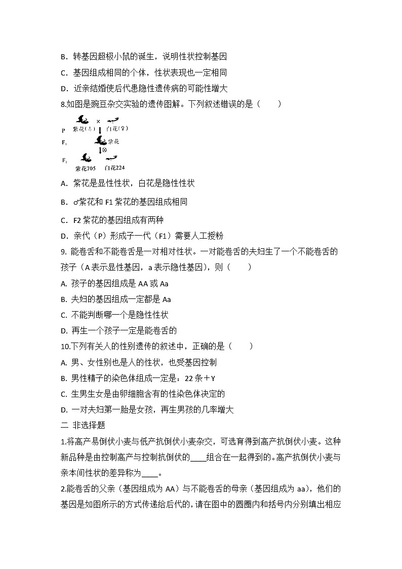 2022年人教版中考生物专题练习1+生物的遗传与变异02