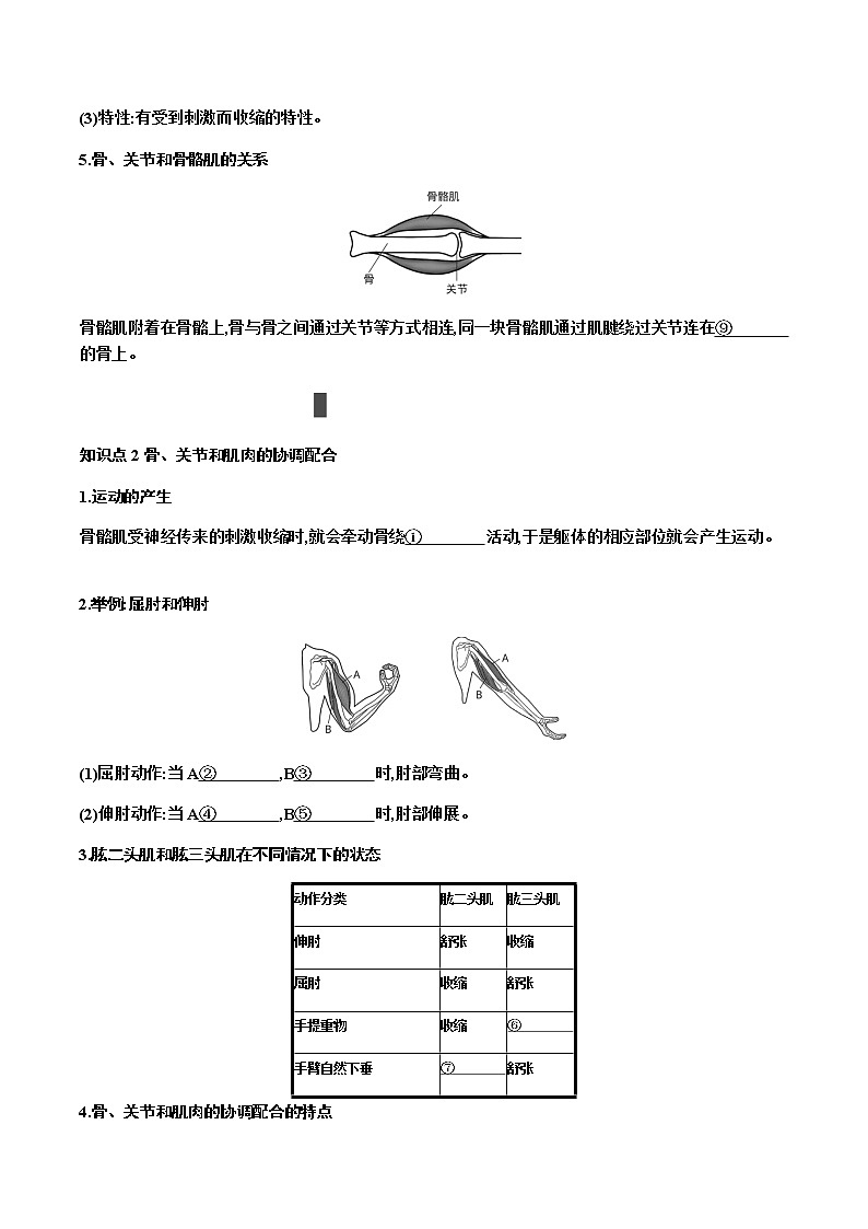 第五单元　生物圈中的其他生物+第2讲+动物的运动和行为及动物在生物圈中的作用+讲义+2022年中考生物总复习教案第3页