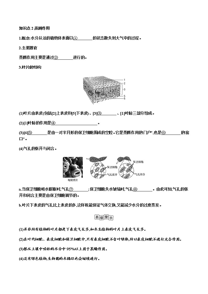 第三单元　生物圈中的绿色植物+第3讲+绿色植物与生物圈的水循环+讲义+2022年中考生物总复习教案第2页