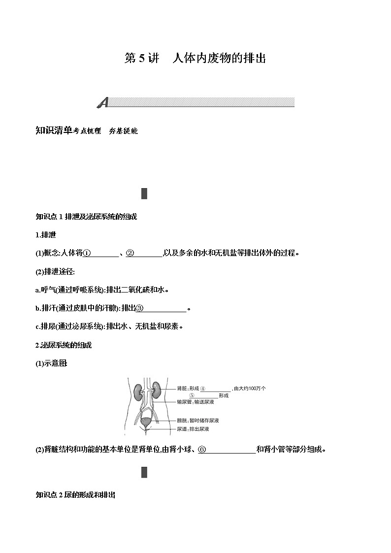 第四单元　生物圈中的人+第5讲+人体内废物的排出+讲义+2022年中考生物总复习教案01