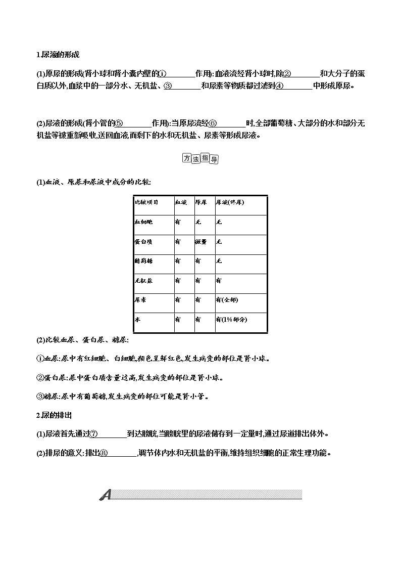 第四单元　生物圈中的人+第5讲+人体内废物的排出+讲义+2022年中考生物总复习教案02