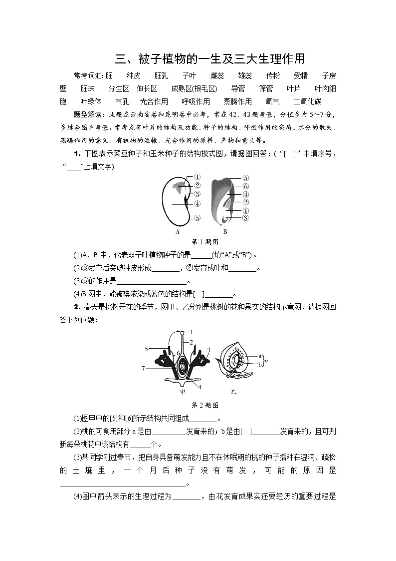 2022年中考生物总复习非选择题专题集训三、被子植物的一生及三大生理作用（word版，含答案）第1页