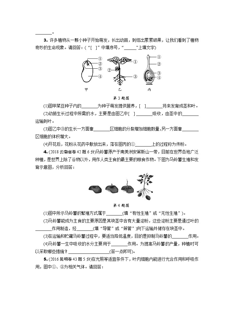 2022年中考生物总复习非选择题专题集训三、被子植物的一生及三大生理作用（word版，含答案）第2页