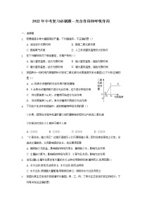 山东省泰安市新泰区羊流镇初级中学2022年中考复习必刷题--光合作用和呼吸作用